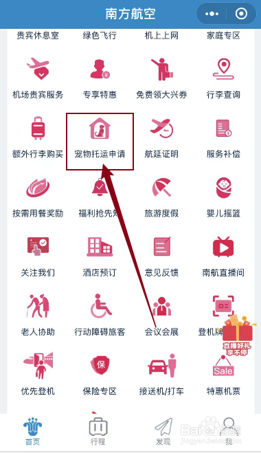 猫咪托运怎么办理