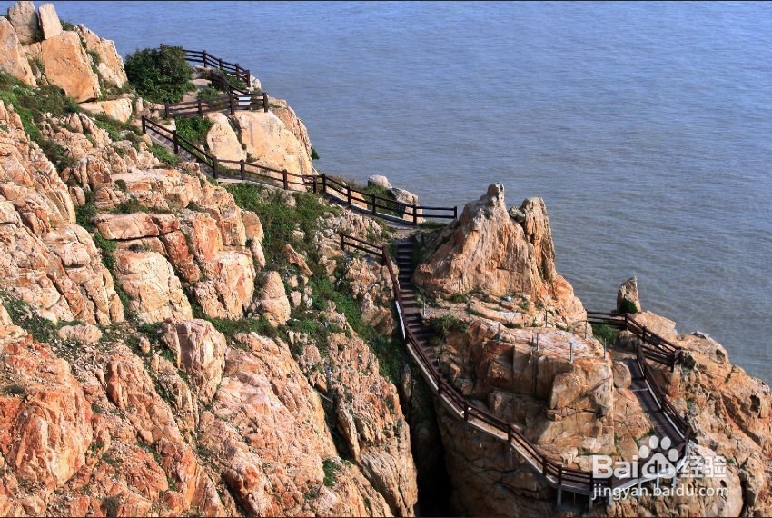 花鸟岛旅游攻略
