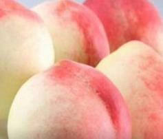 怎么辨别桃子的好坏