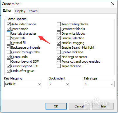 DzSoft PHP Editor怎么设置使用制表符