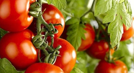 女人生活中如何做才可以保持美丽？