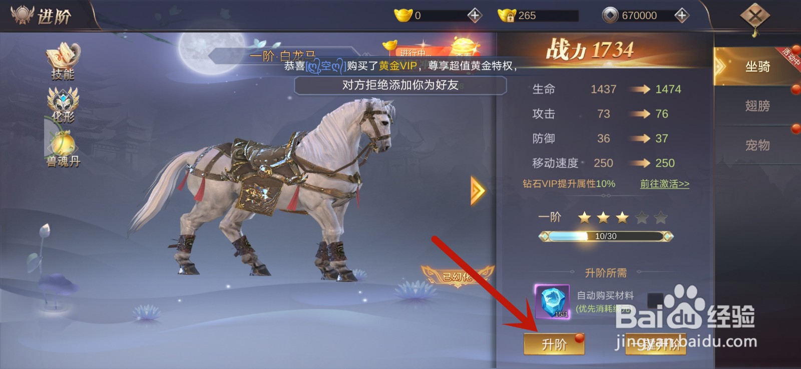 夜将行坐骑怎么升阶