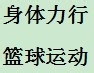 如何爱上篮球这项运动
