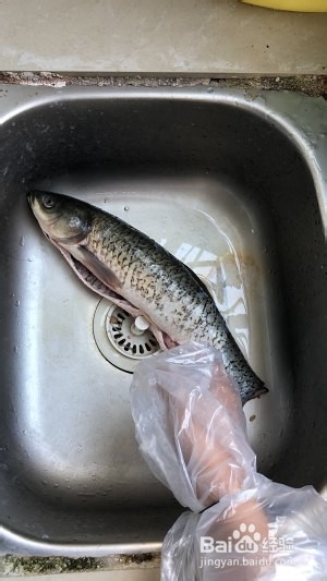 怎么做超级美味的烤鱼