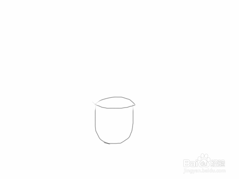 虎尾兰怎么手绘