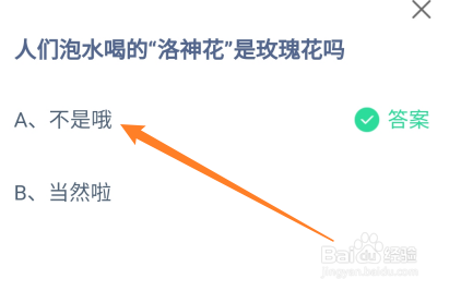 蚂蚁小课堂10.25人们泡水喝的洛神花是玫瑰花吗