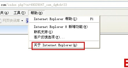 怎么查看自己电脑浏览器的IE版本号