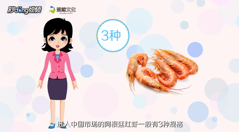 阿根廷红虾L1和L2区别是什么
