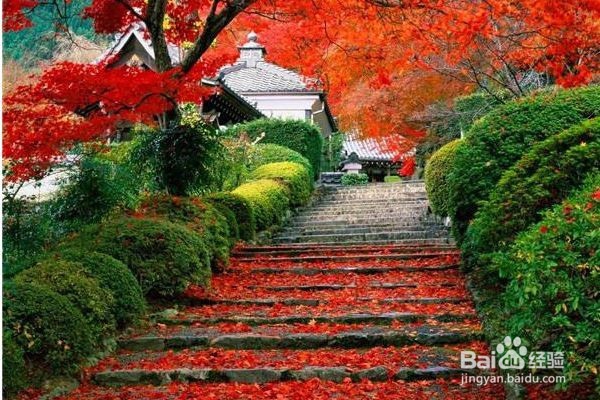 北京有哪些环境不错的健步道