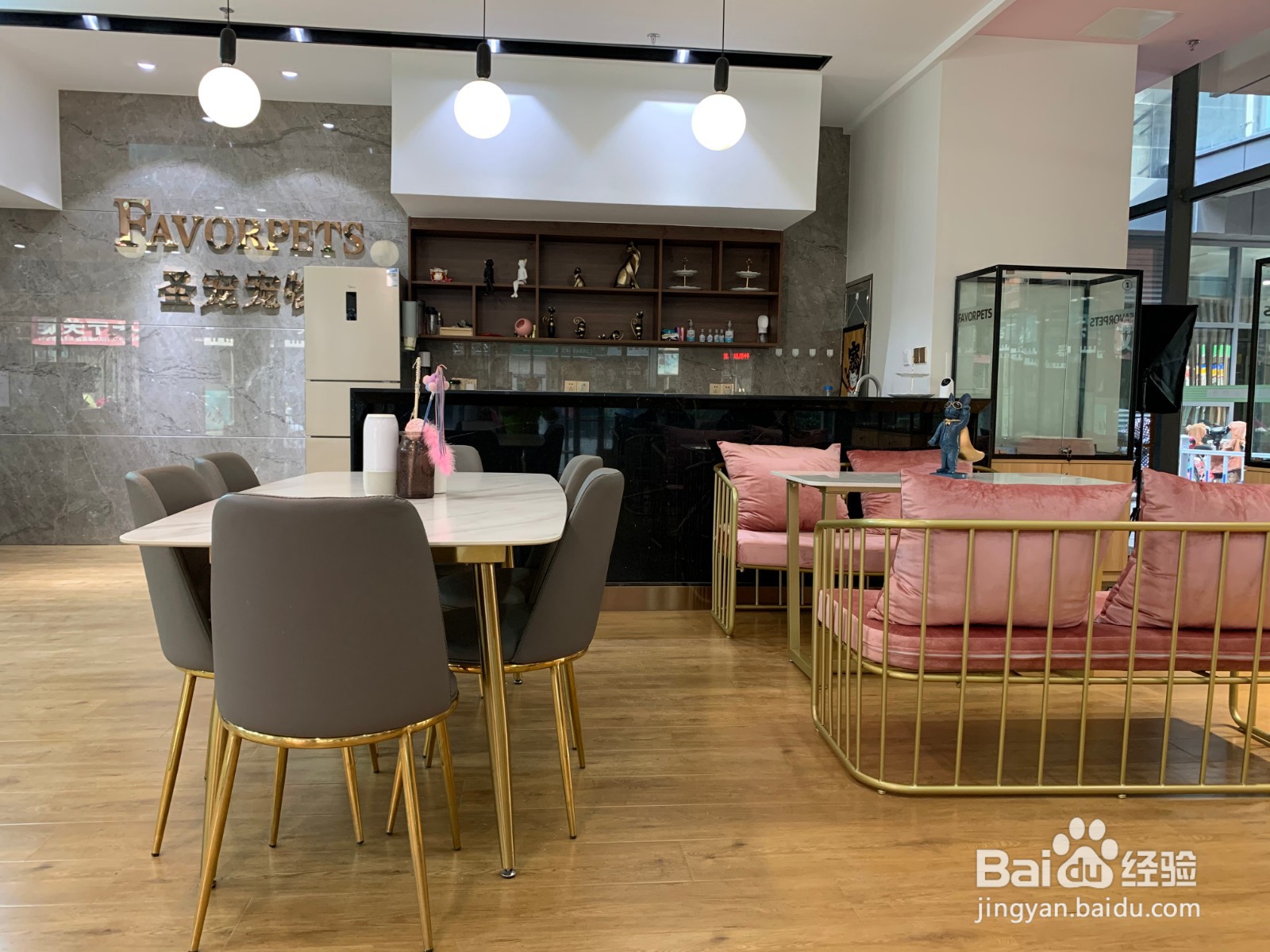 开宠物店的话一般可以经营哪些项目呢