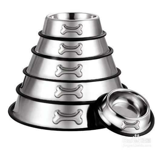 如何养好金毛幼犬