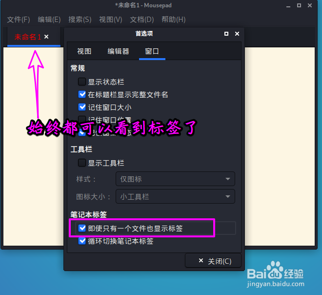 Kali文本编辑器怎么始终显示标签