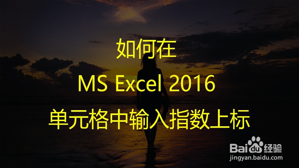 <b>如何在 MS Excel 2016 单元格中输入指数上标</b>