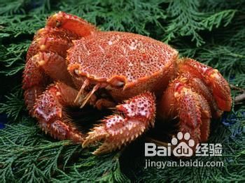 吃海鲜过敏的原因及应对方法