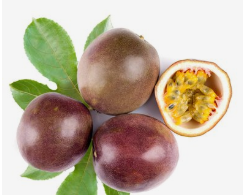 百香果的副作用