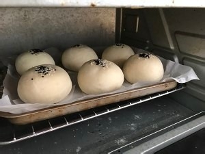 家庭自制绿豆包