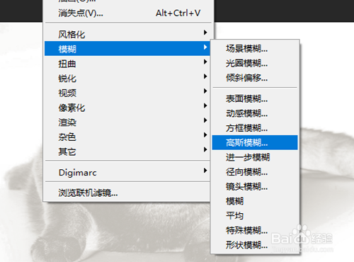 PS如何制作火红猫