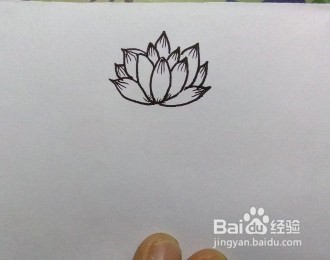 怎么画荷花的简笔画