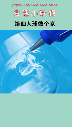 怎样给仙人球做花盆