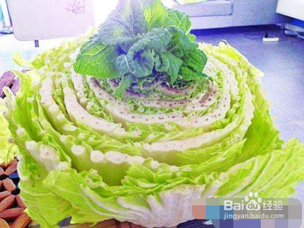 哪些植物发芽后能吃哪些不能吃