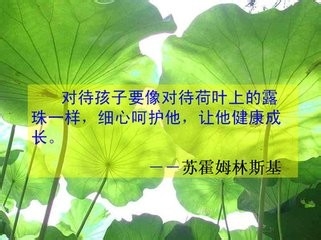 班级管理的个人见解与体会