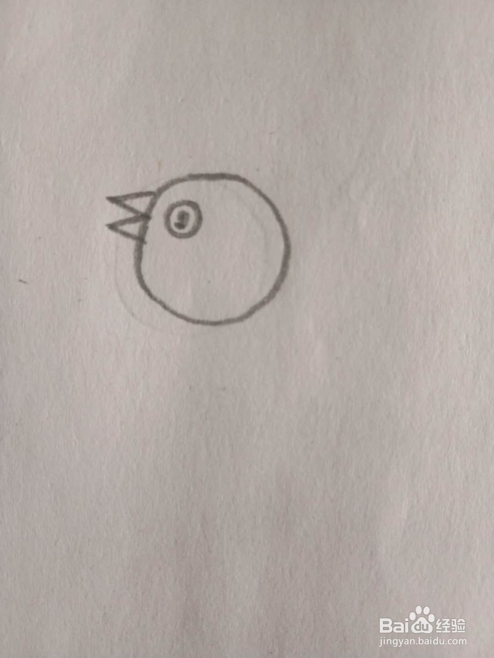 教你画儿童简笔画孵蛋的母鸡