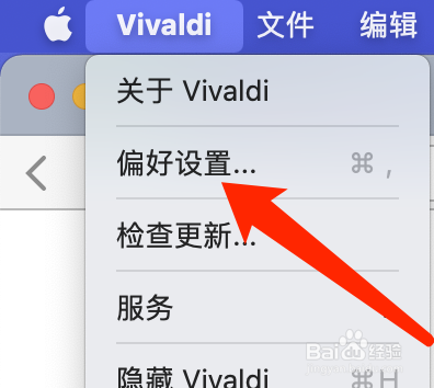 Mac版Vivaldi浏览器如何打开动画标记