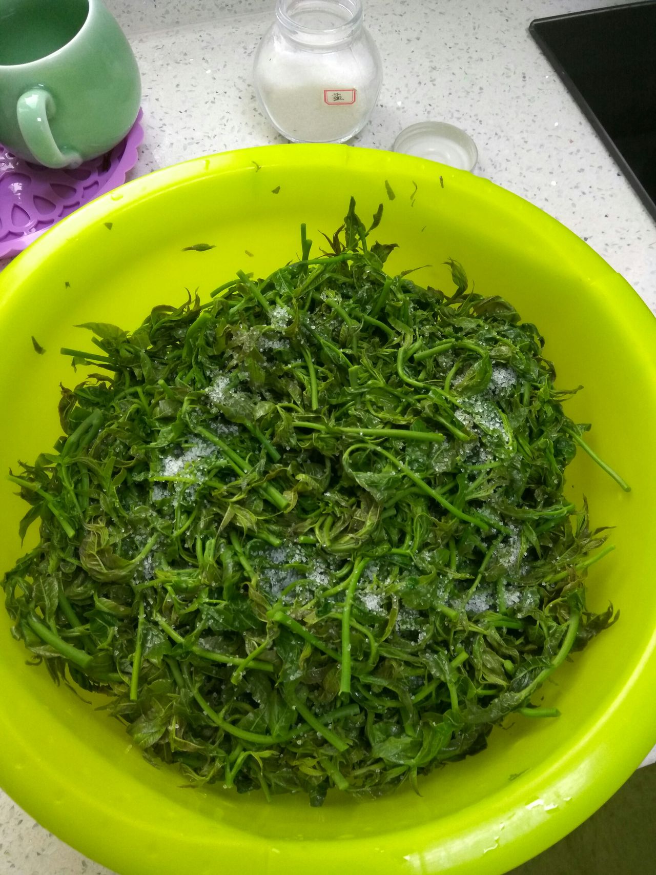 教你做美味的冷冻香椿