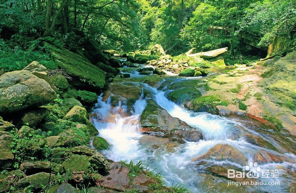 上海到张家界自驾游线路推荐