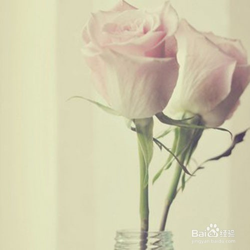 我们怎么样更加好的混在当下