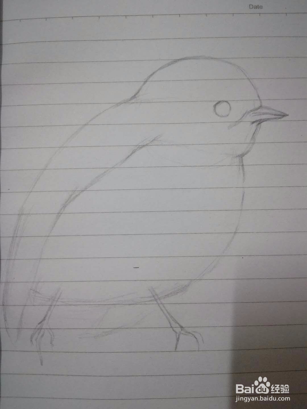 《小鸟思思》插画速写教程