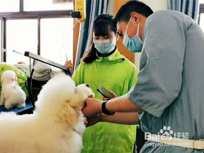 问营业一家宠物店需要办理哪些证件