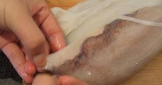 盛夏肥美时节——芫爆鱿鱼卷