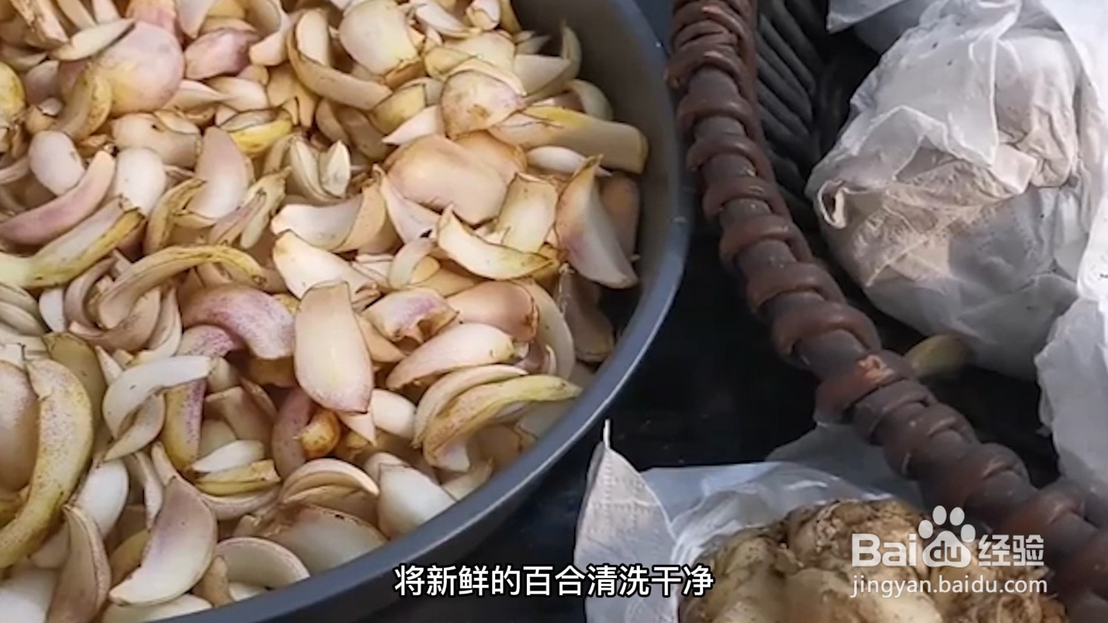 鲜百合怎么保存时间长而新鲜