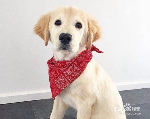 #过年#过年怎样请假（实习医学生）