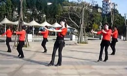 玩腻广场舞12步教程