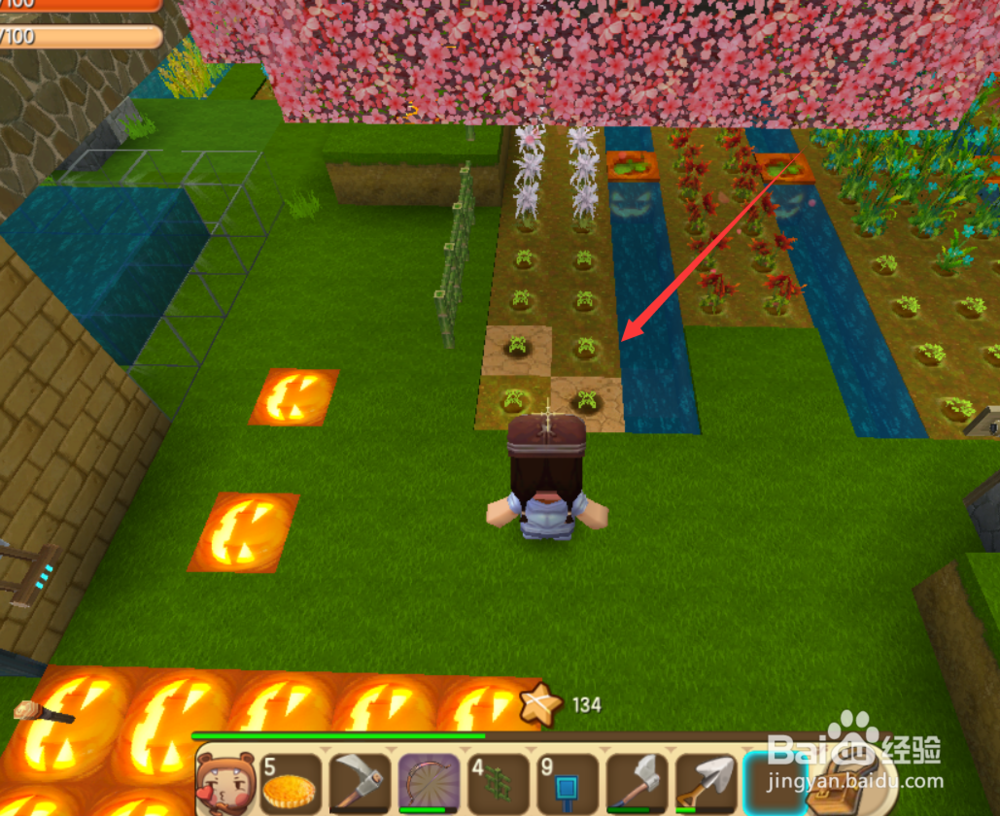 迷你世界怎样快速收获灰色龙舌兰