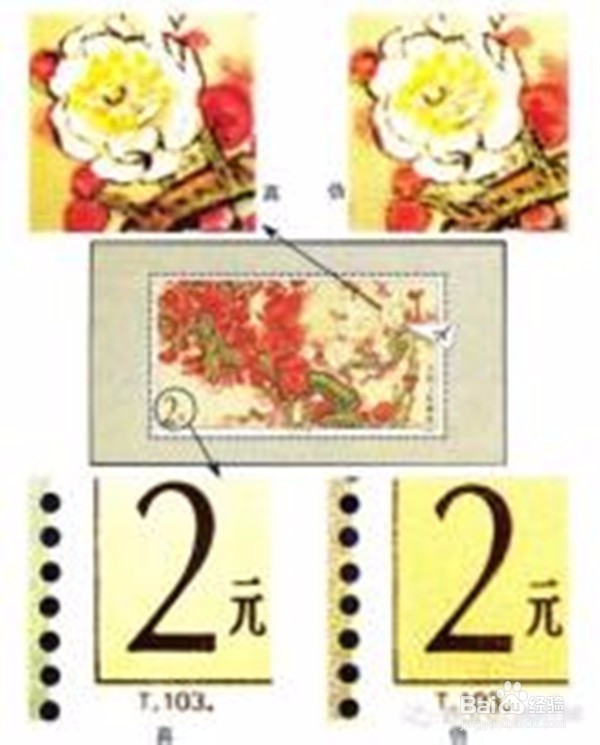 集邮入门者如何选择应用保存放大镜