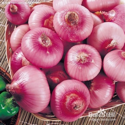 洋葱居然.... 补骨髓比钙快10倍!