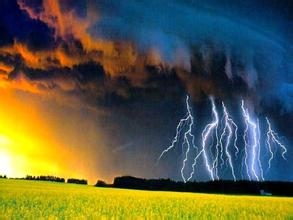 如何提高物理选择题的正确率?