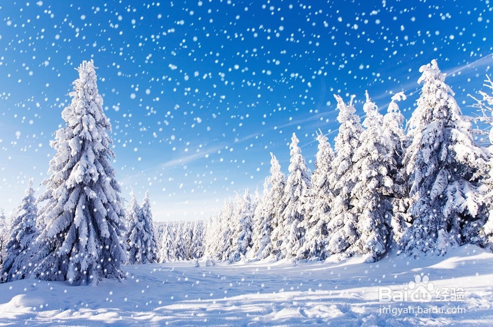 冬季户外赏雪要注意什么