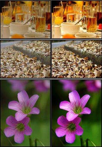 怎样给原创经验配好图