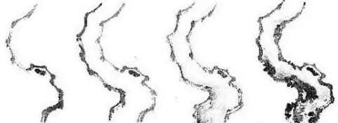 国画梅花的画法攻略