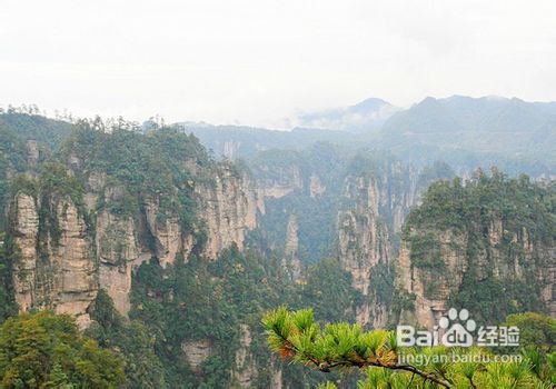 春节张家界自驾游