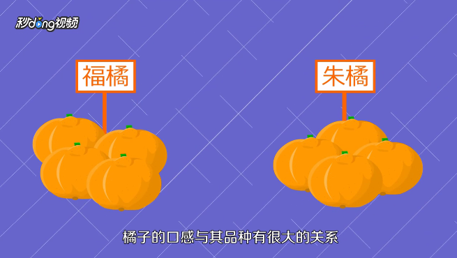 怎么挑选又甜又好的橘子?