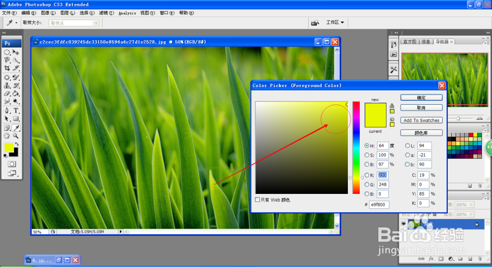 如何使用颜色替换工具改变图片