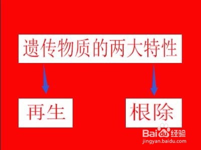 如何去脸上的蒙面纱/怎么根治遗传蒙面纱