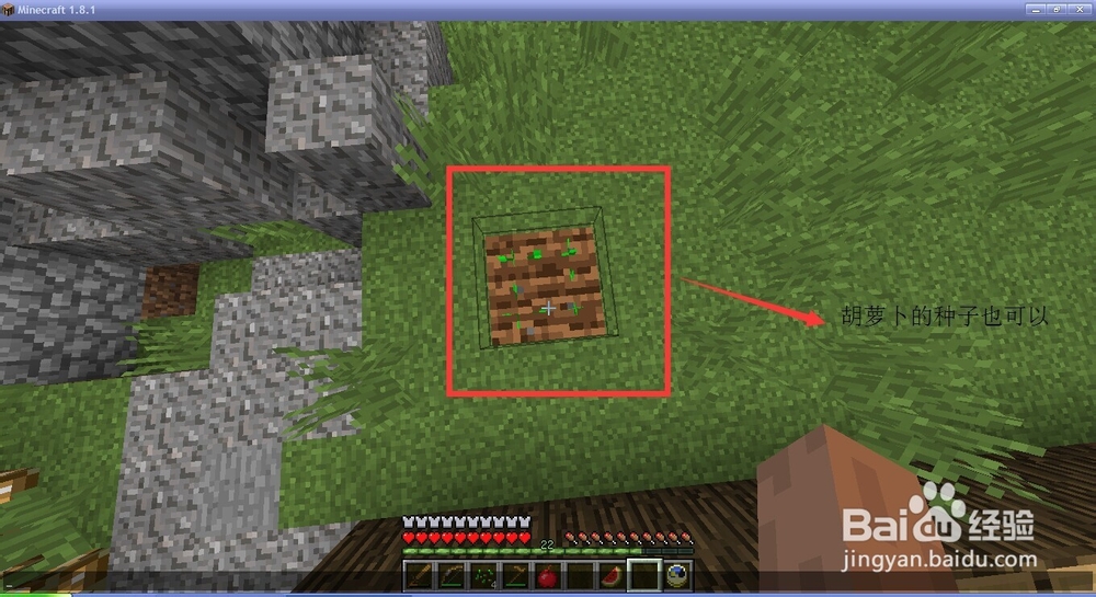 我的世界种植植物大全