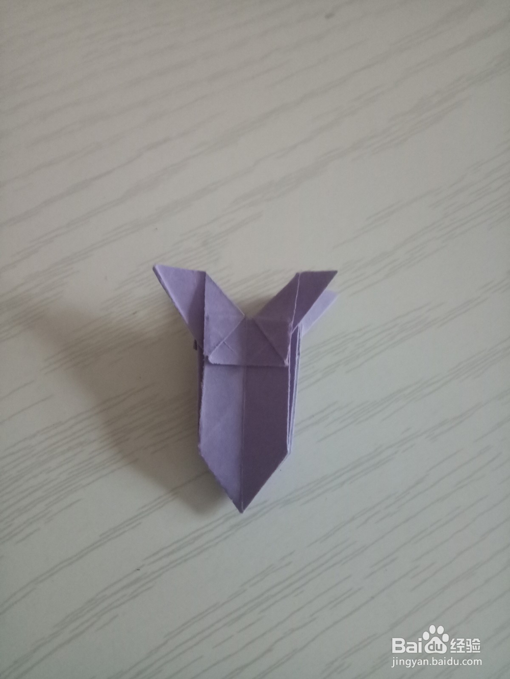 牵牛花折叠方法 下