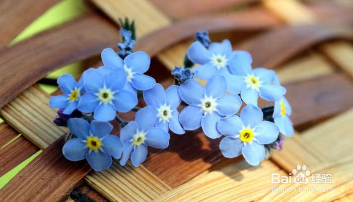 高中阅读理解的技巧方法